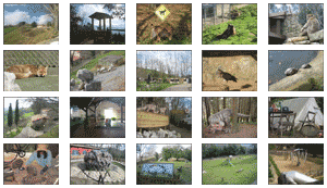 Argazkien galerian sartu argazkien galeria